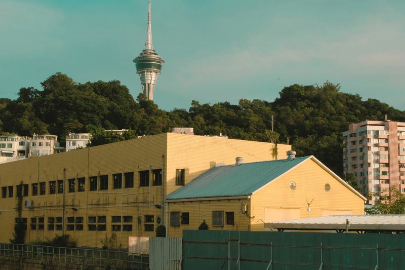 Macau Tower rising behind a wooded hill and yellow buildings in evening light